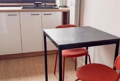 Inchiriere Apartament 2 camere Renovat Bloc Anvelopat Tineretului - 7