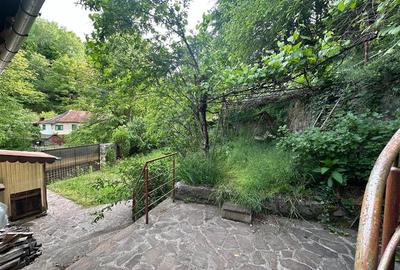 Casa Cocheta de vacanta, Dognecea - 4