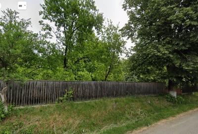 Teren Construcții intravilan de 3644 mp, în Dobrovăț