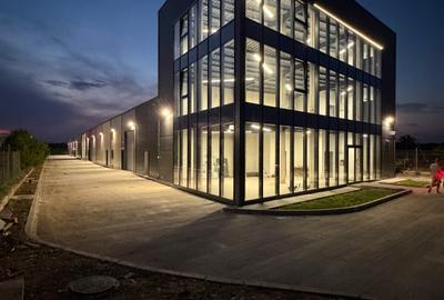 Showroom + hale depozitare centura Nord Chitila - 8