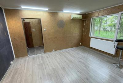 Spațiu comercial, de 48 mp, în Podu Roș