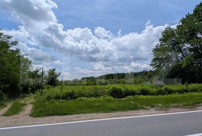 Teren agricol extravilan de 12700 mp, în Priseaca
