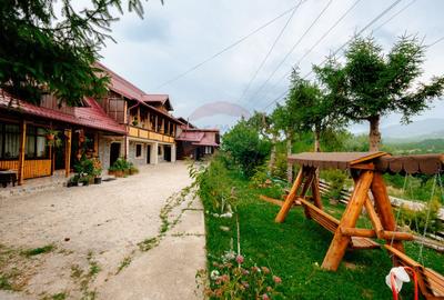 Pensiune de vânzare, Corbșori (Poenari)| potențial real de Business - 20