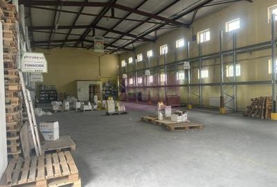 Hale industriale cu parcari multiple Bragadiru Sos Alexandriei stradal - 20
