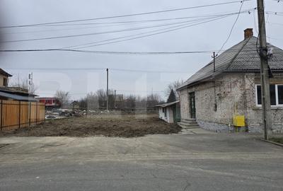 Casă individuală cu 2 camere în Botizului