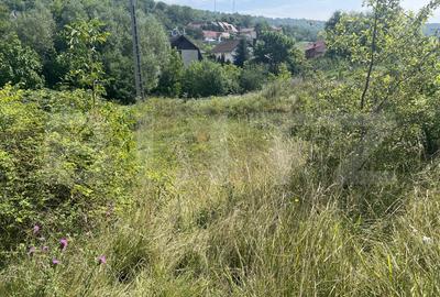Teren Construcții intravilan de 1400 mp, în Dâmbu Pietros
