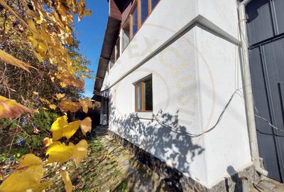 De închiriat: Hale si locuință pe 3 000 mp/ Bascov - Argeș - 5