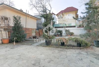 Inchiriere 7 camere la Parter in vila, curte privata 300 mp - Dorobanti Capitale - 10