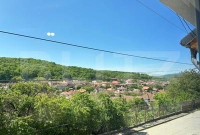 Casă individuală cu 5 camere în Hunedoara