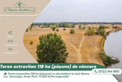Teren extravilan 118 ha(pășune) cu deschidere la râul Mureș, Loc.Secusigiu, Arad - 1