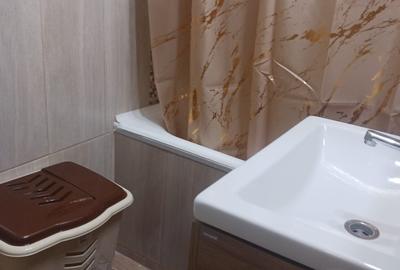 Dristor, garsoniera, 6 min metrou, BOILER, prima inchiriere - 43