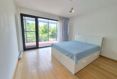Inchiriere vila moderna Iancu Nicolae - 27