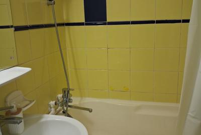 Piata Muncii-Alba iulia  Garsoniera 40 mp,mobilata modern,utilata,bloc mixt 350€ - 10