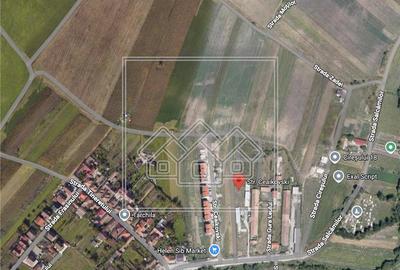 Teren agricol intravilan de 5000 mp, în Gușterița