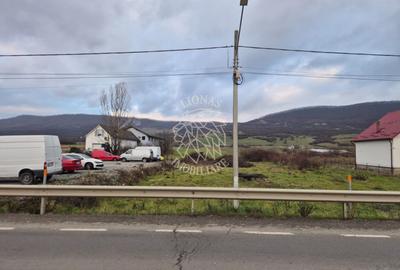Teren Construcții intravilan de 5800 mp, în Șieu-Măgheruș
