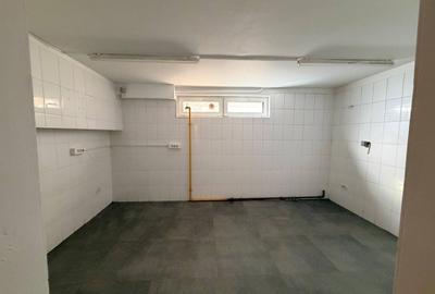 Spatiu comercial de 112 mp utili cu terasa de 22 mp de inchiriat- Kiseleff - 4