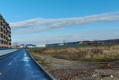 Teren intravilan de 1000 mp, în Brănești