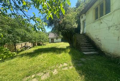 Casa de vacanta 98 mp| 25.000 mp teren| zona Valea Vintului - 5