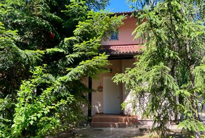 Casa Vermont, cu Padure Privata, Paradisul Verde, teren 1800mp, gradina matura - 3