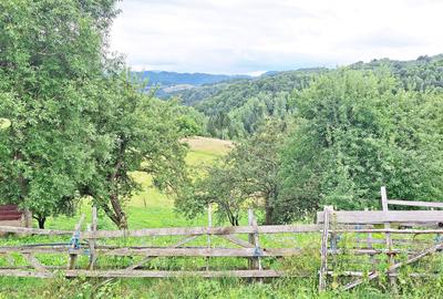 Teren de 1000mp in Bran, satul pitoresc Pestera - 15