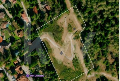 Teren Construcții intravilan de 11770 mp, în Cumpătu