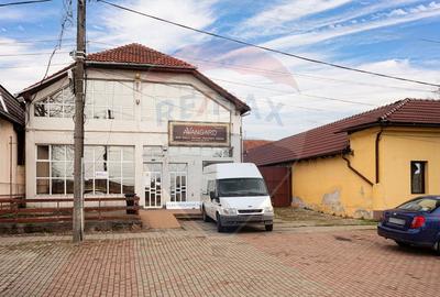 Spațiu comercial pentru evenimente de închiriat - zona Aradul Nou - 11
