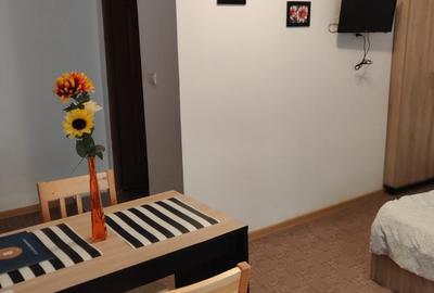 Vand casa tip Vila cu 16 cam. - 10