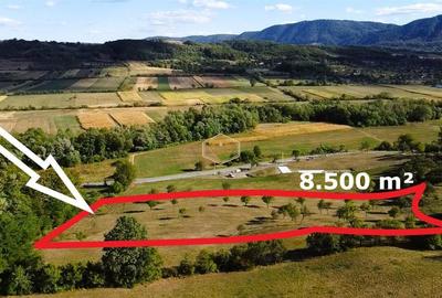 VIDEO | Super view | Teren 8.500 m² in Maramures | Viitorul tau colt de liniste - 12