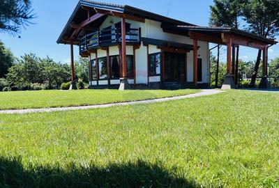 Casa de vacanta de vânzare Cornetu -Mihailesti - 37