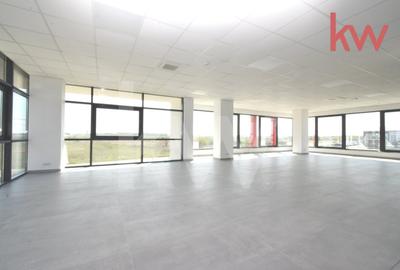 Hale moderne si spatii de birouri de inchiriat, zona aeroportului Craiova - 12