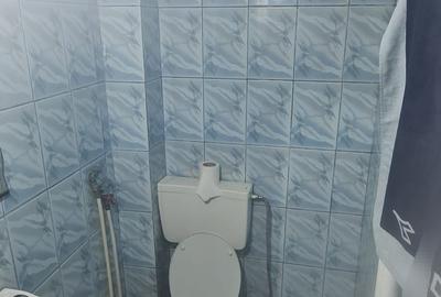 Apartament 2 camere zona Parcul Tineretului - 4
