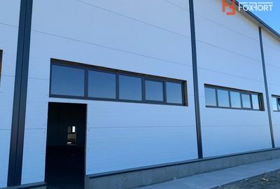 Hala industriala 600 mp, curte 1398 mp, parcare, toate utilitatile - Ghiroda - 1