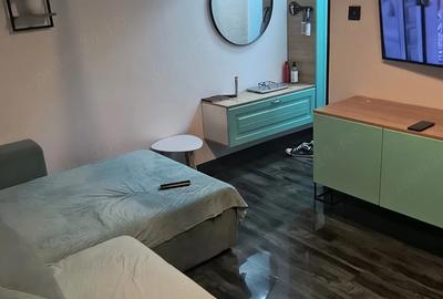 CI692 Sagului,2 camere,Renovat - 5