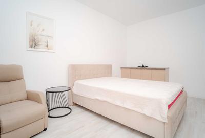 De inchiriat, apartament decomandat + parcare,  Zona Piata Nicolina – Palas - 3