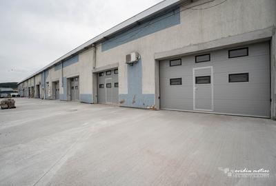 Modul hala 65 mp, zona Calea Baciului - 2