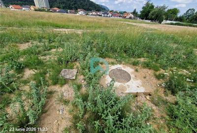 Teren intravilan, 468 mp, Sacele, Brasov - 4