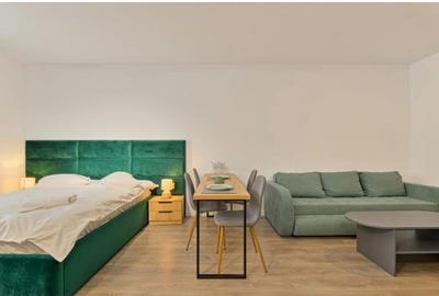 Studio - Garsoniera Green Future Sinaia mobilta si utilat complet - 3