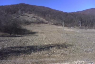 Teren Construcții intravilan de 31337 mp, în Posești