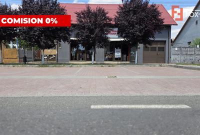 Casă individuală cu 4 camere în Gătaia