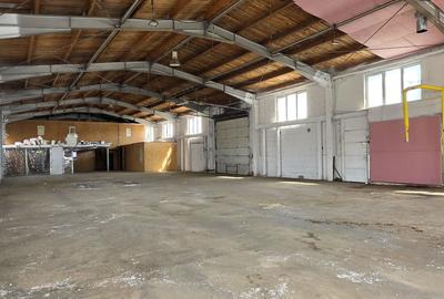 Hală industrială  productie/depozitare Sânpetru, 450 mp, curent 200kw - 5