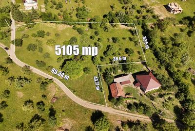 Teren intravilan 5.105 mp, Baia Sprie, la intrare pe Valea Chiuzbăii - 1