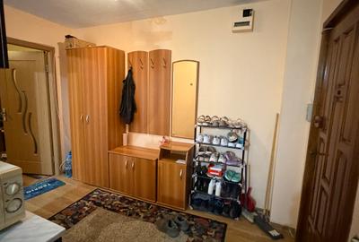 Apartament cu o cameră Buziașului - 8