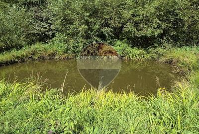 Teren de vis de 2.800 mp pe Valea Tărcăului – Cu lac natural și pădure - 7