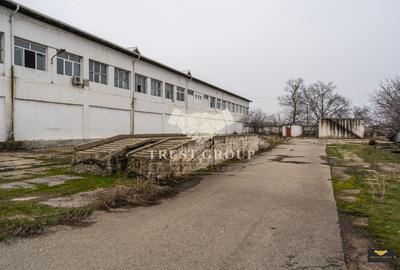 Teren 28.788m + Hale industriale + Sediu Firma - 35