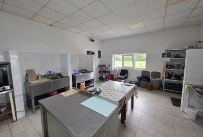 Oportunitate de investiție – Restaurant Cebza - 8