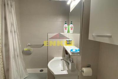 Apartament cu 1 cameră de închiriat, Calea Națională,  Școala Nr 11 - 3