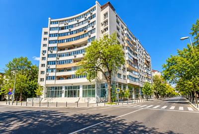 Studio premium | vedere la Parcul Cișmigiu | Complet renovat - 11