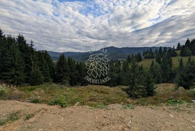 Parcele teren intravilan cu utilitati-panoramic-Colibita - 1