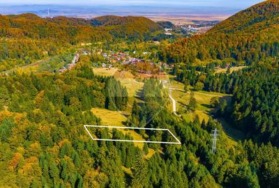 Teren intravilan | Timisul De jos | Canionul 7 Scari | Oportunitate! - 2