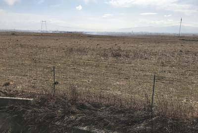 Teren de vanzare 20.000 mp pretabil benzinarie centura, direct de la proprietar! - 4